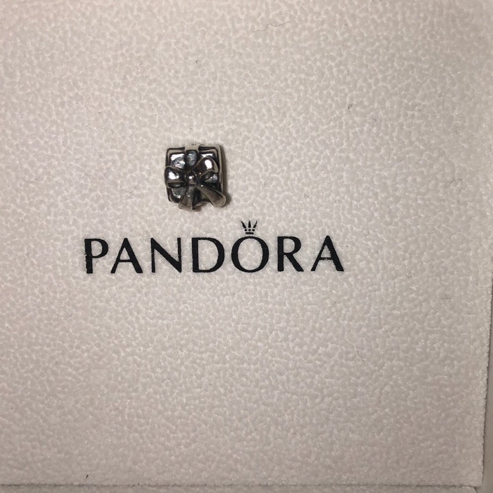 Pandora gift charm